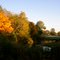 Lake Forest fall 2010
