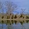 Pond 3 Late Winter 2011