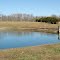 Dixie Dachsund's Pond