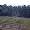 The Ray Springhouse