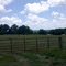 The Farm