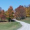 Youthtown grounds