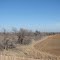 Winter farm, north Abilene