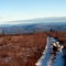 Tolovana Hot Springs Trail