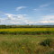 Farm Fields Aroostook County Maine