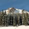 MOUNTAIN FOREST. NEAR FRISCO, COLORADO.