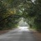 Amelia Island - Fort Clinch State Park