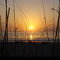 Amelia Island Plantation Sun Up