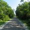 Nickle Plate Rail-Trail