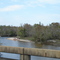 Muscogee Bridge