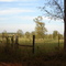 Country Place