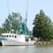 The Life of a Fisherman