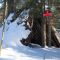 Cabin 2009