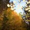 A sunny fall day