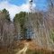 Ben Draper Lookout Tower