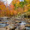 New Hope Creek, Duke Forest, Orange County