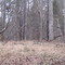 Duke Forest, gate 3 to 7 road