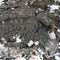 Pahoehoe lava flow near lava Falls