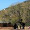Armijo Homestead