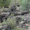 Lava flows of El Malpais National Monument, New Mexico