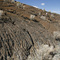 Pahoehoe Lava at El Malpais National Monument