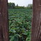 August A Busch Wildlife Area