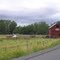 Wallowa Oregon field
