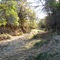 Polecat Creek