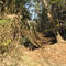 Cordell Creek