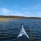 Foley Bluffs