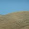 Palouse 5