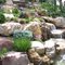 a colorful Colorado rock garden