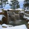 water in the pines