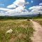 Dawson's Butte Open Space 3