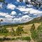 Dawson's Butte Open Space 4