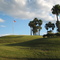 Heron Creek GC