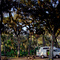 Florida: Myakka River Campground