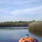 Myakka River