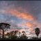 Florida, North Port Sunset 2011:01:17