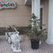1309 Blue Lakes Boulevard North Maxie's Tomato's Italian Restaurant