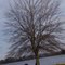 Lake Tom Bailey, toomsuba MS