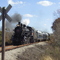 L&N 152 on the way to Boston (KY)