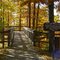 Alcona Overlook