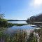 Loon Lake