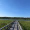 Boardwalk to Mud Lake (Plainfield, MI)