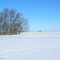 Winter view February 2009