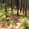 Bike trail