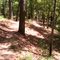 Bike trail