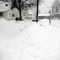 Winter 2003