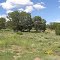 Owner Financing Available on 88 Acres at Homesteader Valley